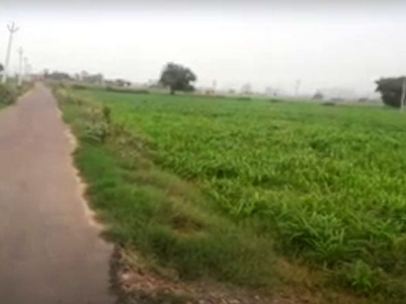 Farm Land for Farm House for sale in Gurgaon