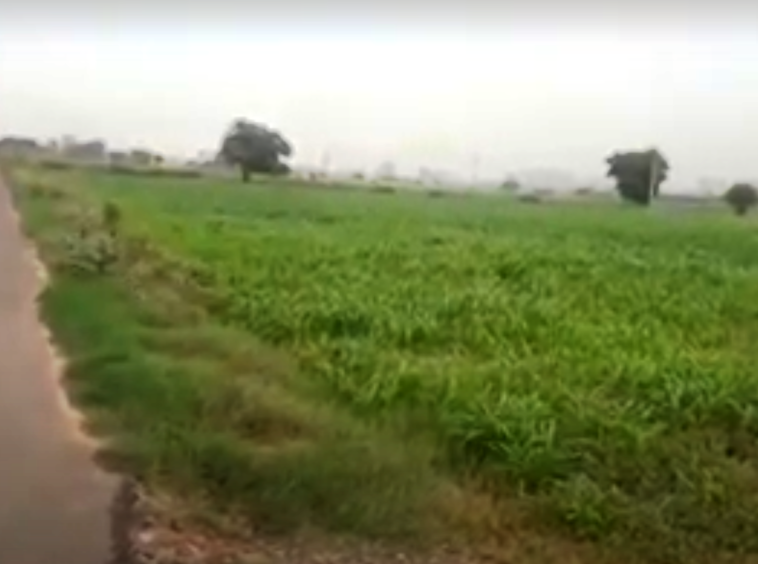 Farm Land for Farm House for sale in Gurgaon Hans Kumar