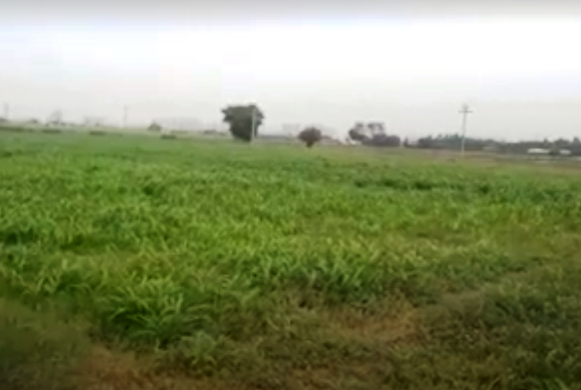 Farm Land for Farm House for sale in Gurgaon