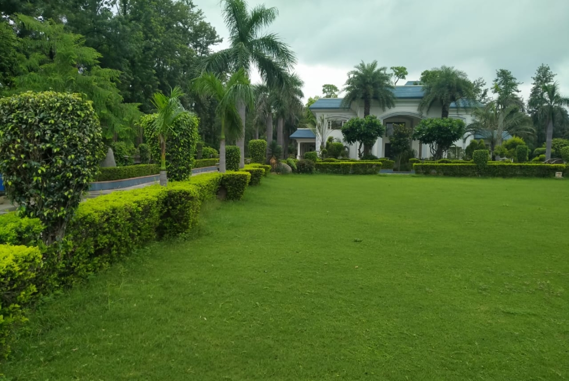 South and West Delhi Farm Houses ! Farm House for Lease and Sale in New Delhi