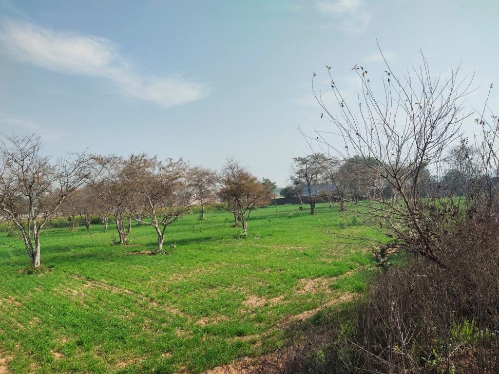 6.29Acres Farm Land For Sale With Frontage On Tar Road Gurgaon