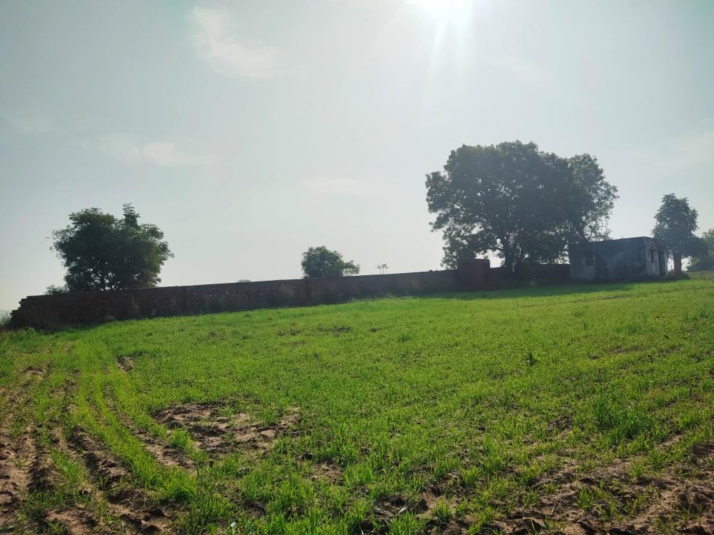 6.29Acres Farm Land For Sale With Frontage On Tar Road Gurgaon