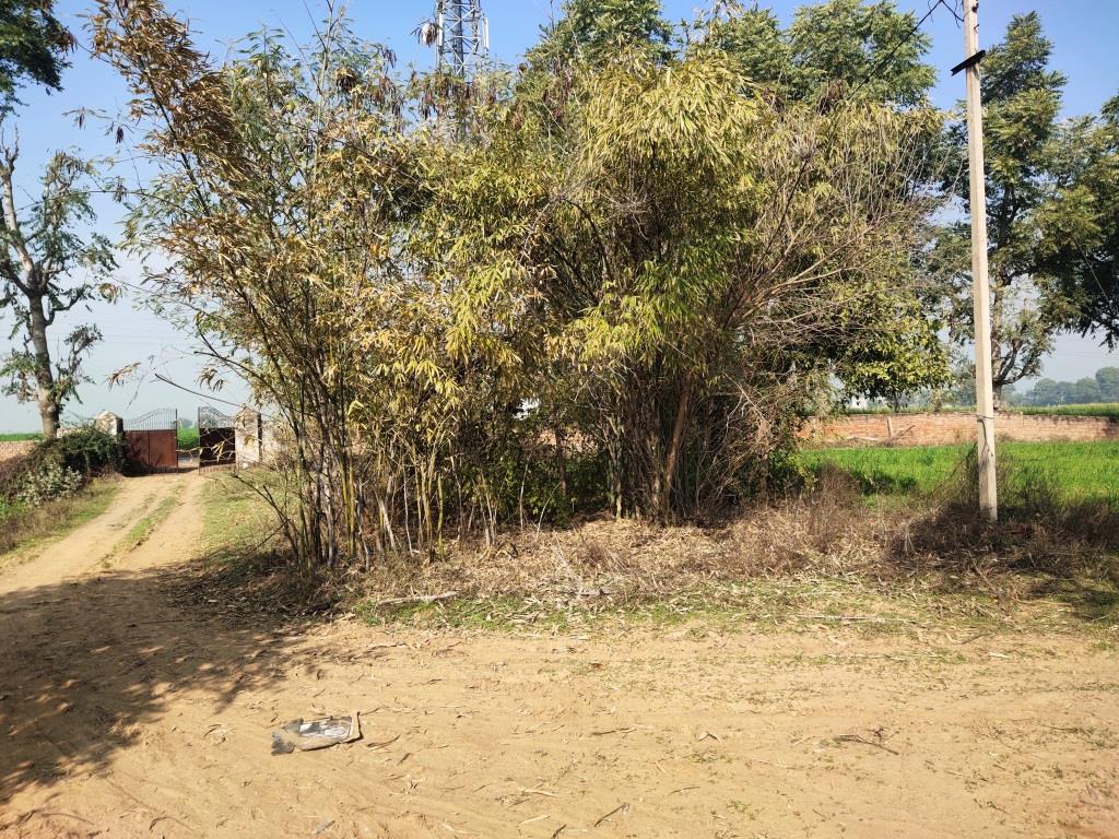 6.29Acres Farm Land For Sale With Frontage On Tar Road Gurgaon