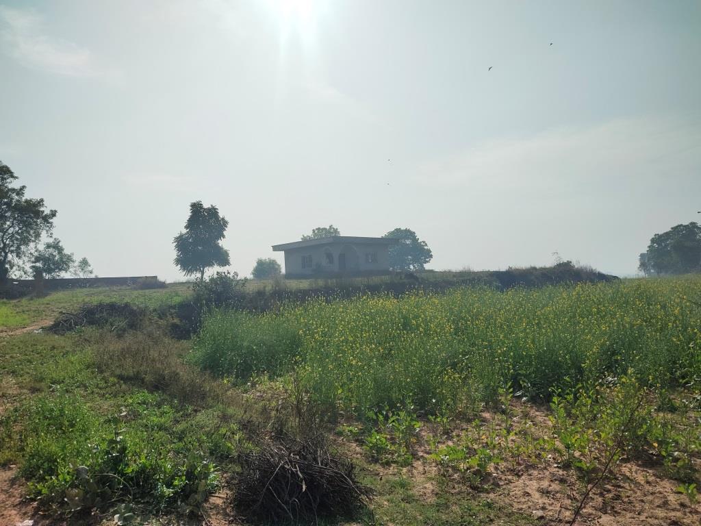 6.29Acres Farm Land For Sale With Frontage On Tar Road Gurgaon