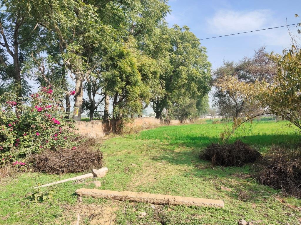 6.29Acres Farm Land For Sale With Frontage On Tar Road Gurgaon