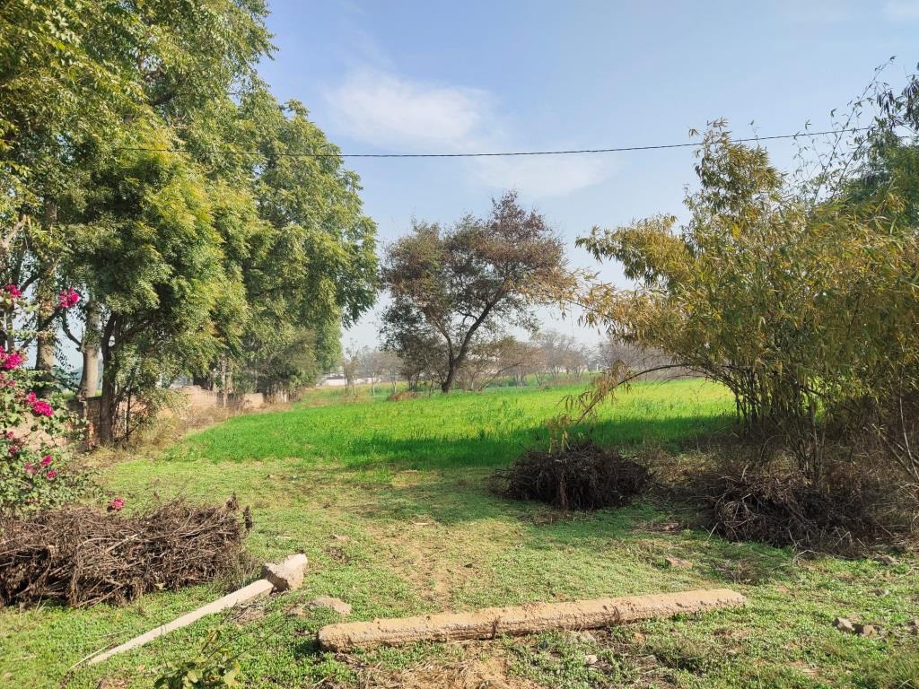 6.29Acres Farm Land For Sale With Frontage On Tar Road Gurgaon