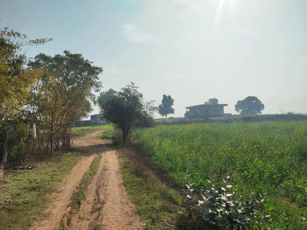 6.29Acres Farm Land For Sale With Frontage On Tar Road Gurgaon