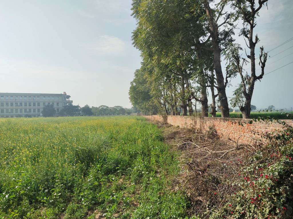 6.29Acres Farm Land For Sale With Frontage On Tar Road Gurgaon