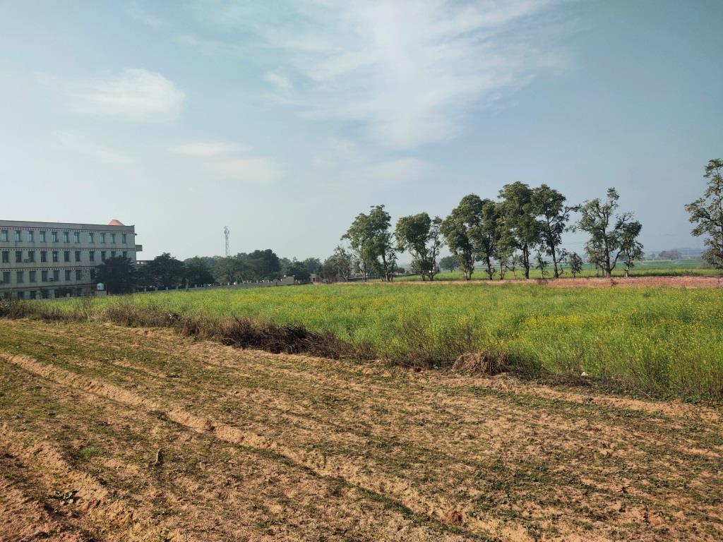 6.29Acres Farm Land For Sale With Frontage On Tar Road Gurgaon