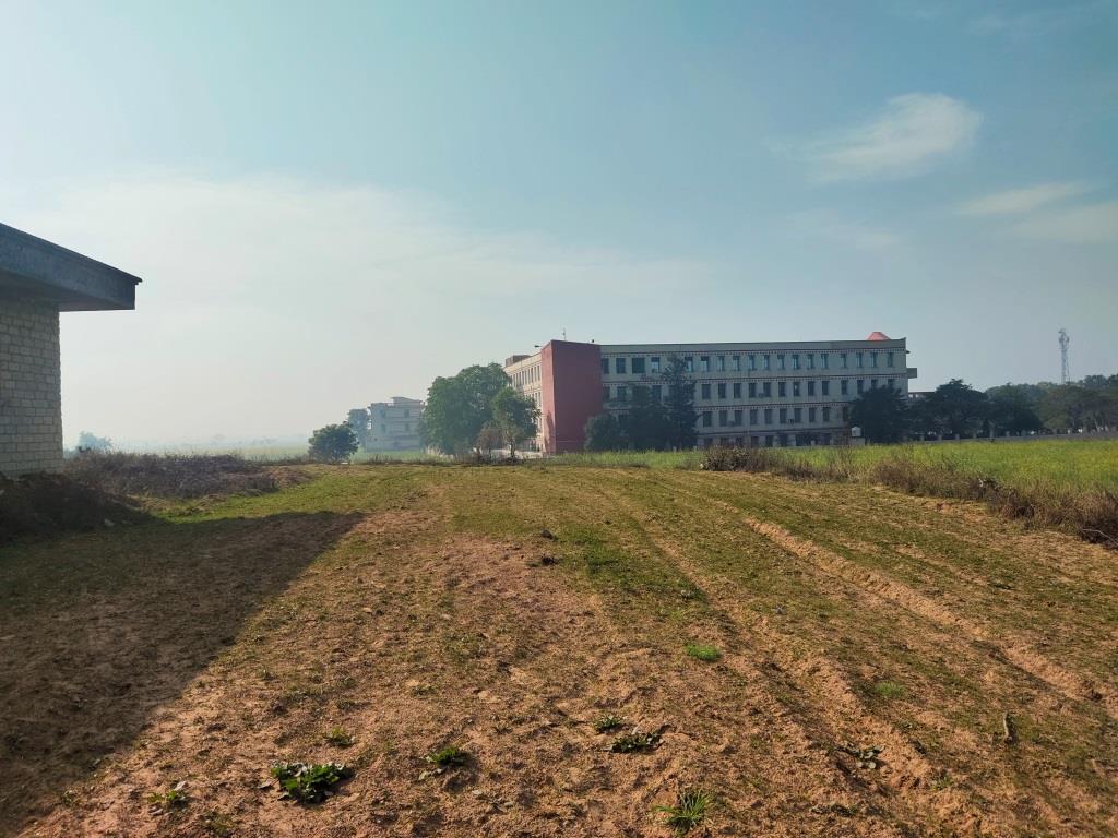 6.29Acres Farm Land For Sale With Frontage On Tar Road Gurgaon
