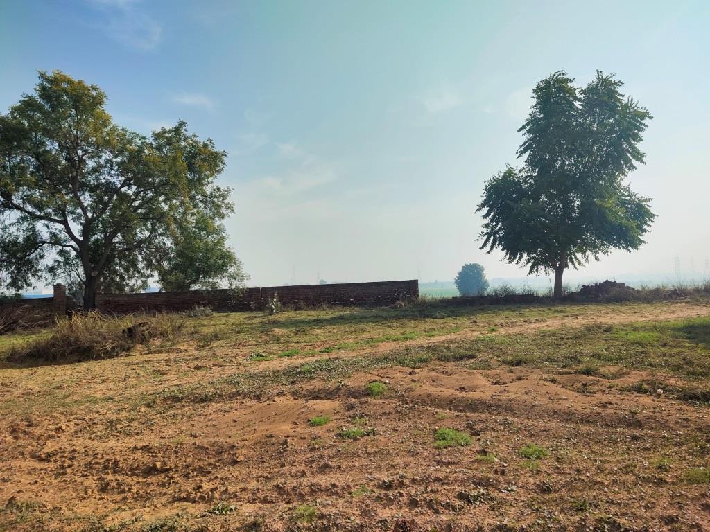 6.29Acres Farm Land For Sale With Frontage On Tar Road Gurgaon