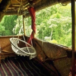 Hotel - Resort For Sale In Niligiris Ooty Coonoor Tamil Nadu