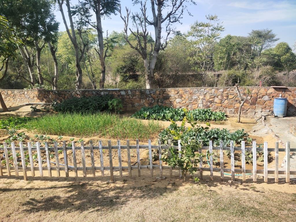 Villa Cum Farmhouse For Sale Near Gurgaon