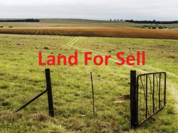 Warehouse Land For Sale Farrukhnagar Jhajjar Highway