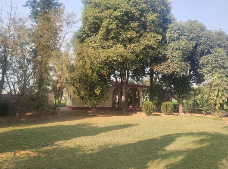 Agricultural Farm Land Farmhouse For Sale Near Sultanpur Lake Gurgaon