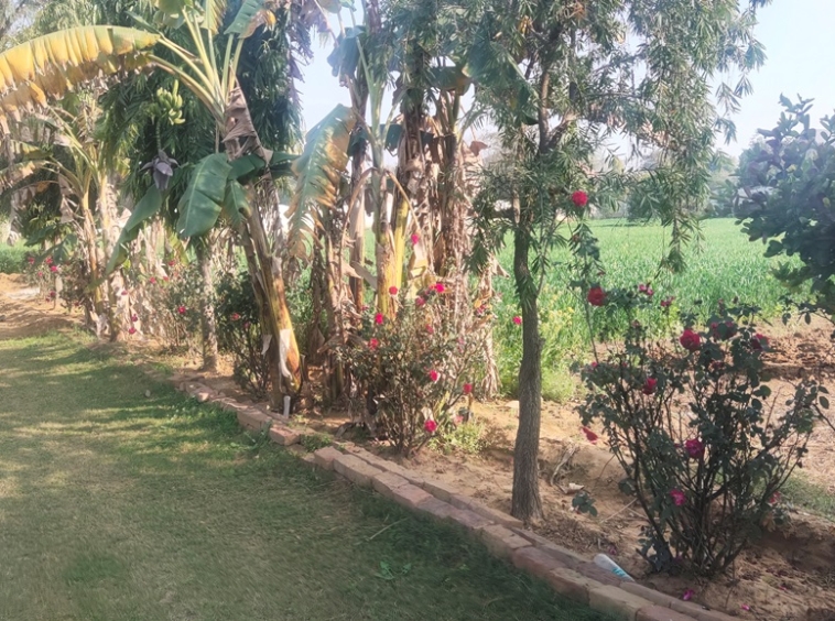 Agricultural Farm Land Farmhouse For Sale Near Sultanpur Lake Gurgaon