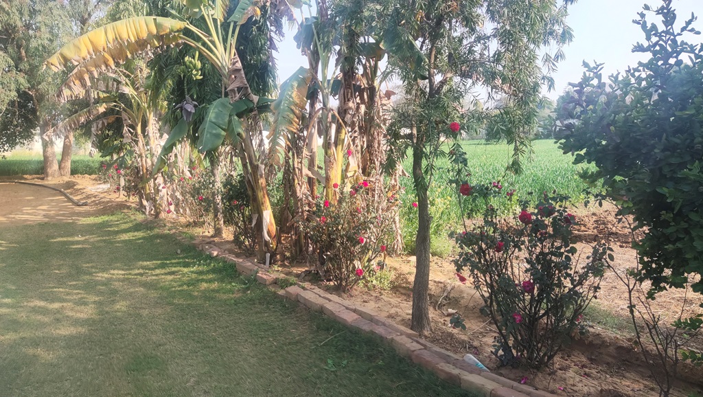 Agricultural Farm Land Farmhouse For Sale Near Sultanpur Lake Gurgaon