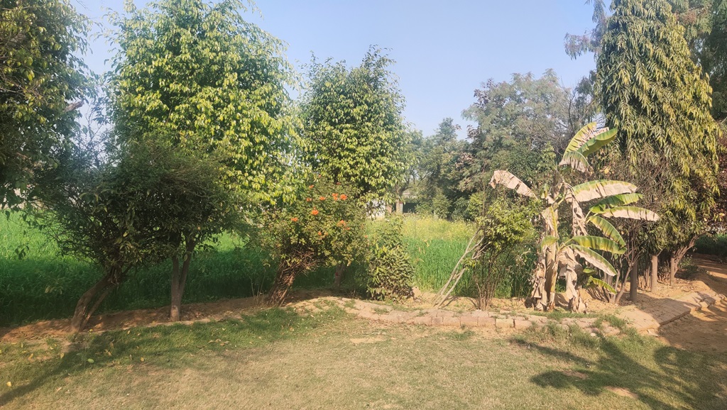 Agricultural Farm Land Farmhouse For Sale Near Sultanpur Lake Gurgaon