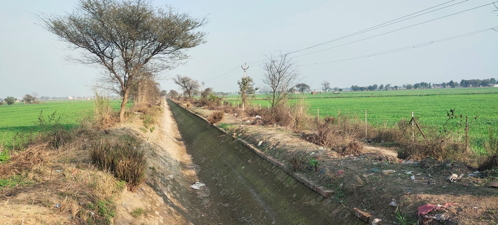 Agriculture Farm Land For Sale Near Pataudi