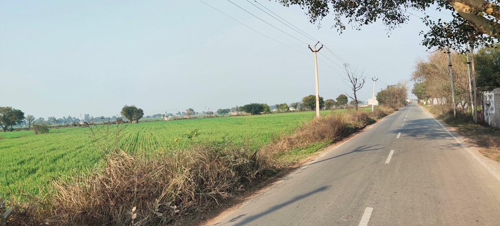 Agriculture Farm Land For Sale Near Pataudi