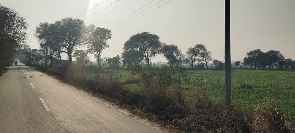 Agriculture Farm Land For Sale Near Pataudi