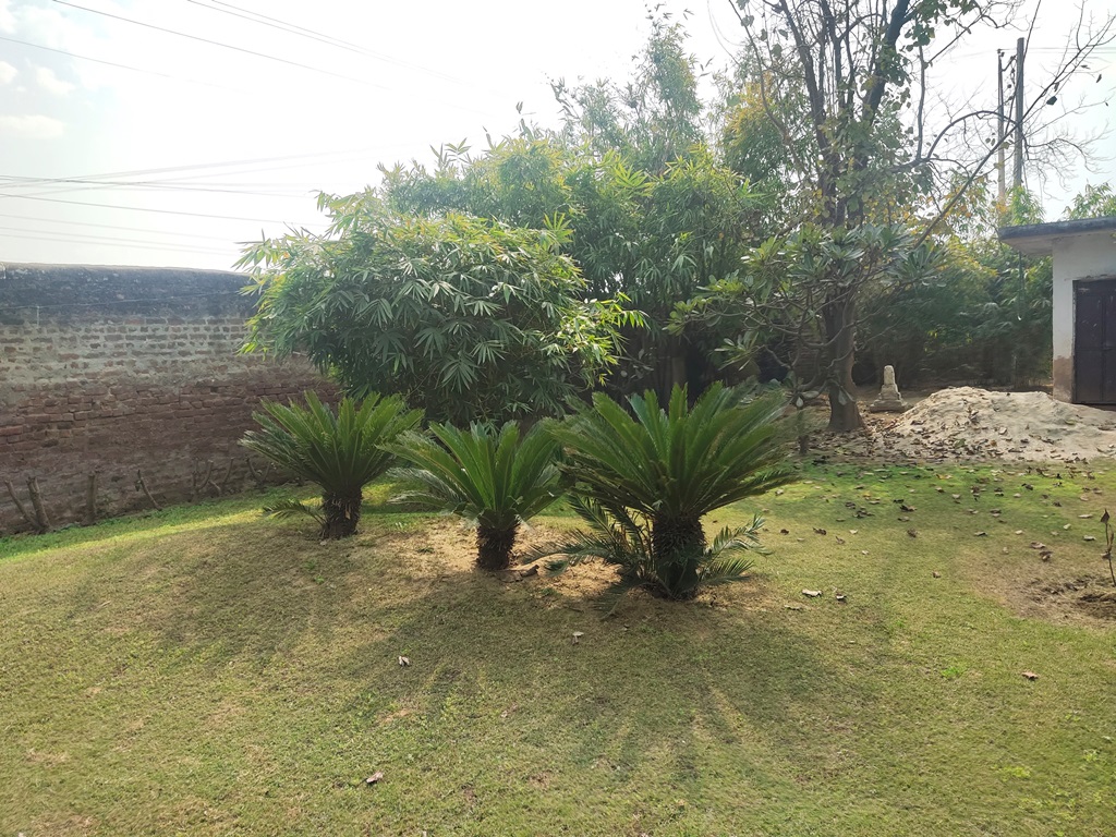 Agriculture Land For Sale At Pataudi Road Farmhouse For Sale In Pataudi Gurgaon