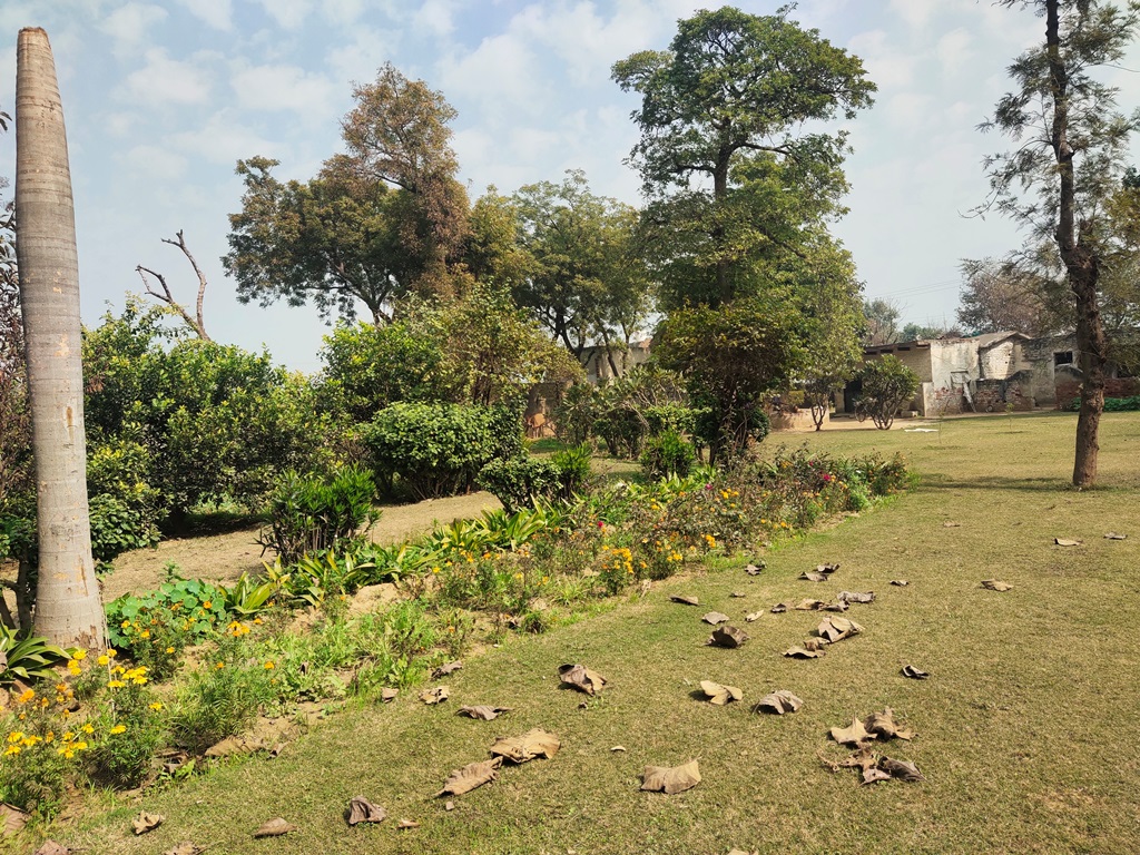 Agriculture Land For Sale At Pataudi Road Farmhouse For Sale In Pataudi Gurgaon