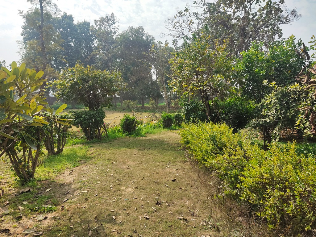 Agriculture Land For Sale At Pataudi Road Farmhouse For Sale In Pataudi Gurgaon