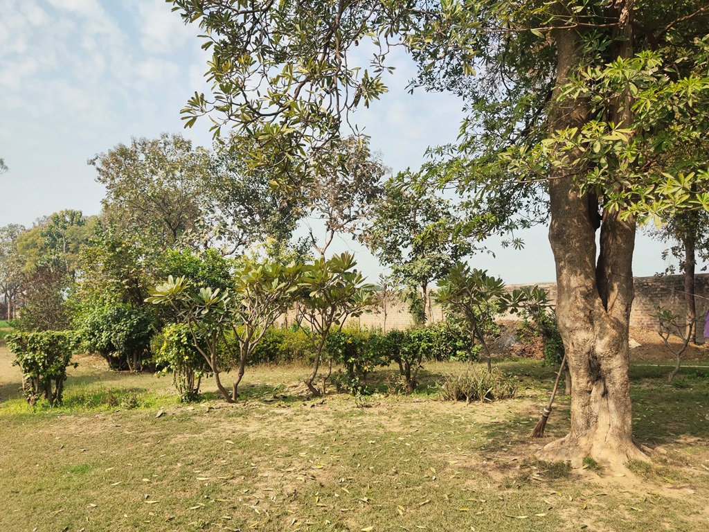 Agriculture Land For Sale At Pataudi Road Farmhouse For Sale In Pataudi Gurgaon