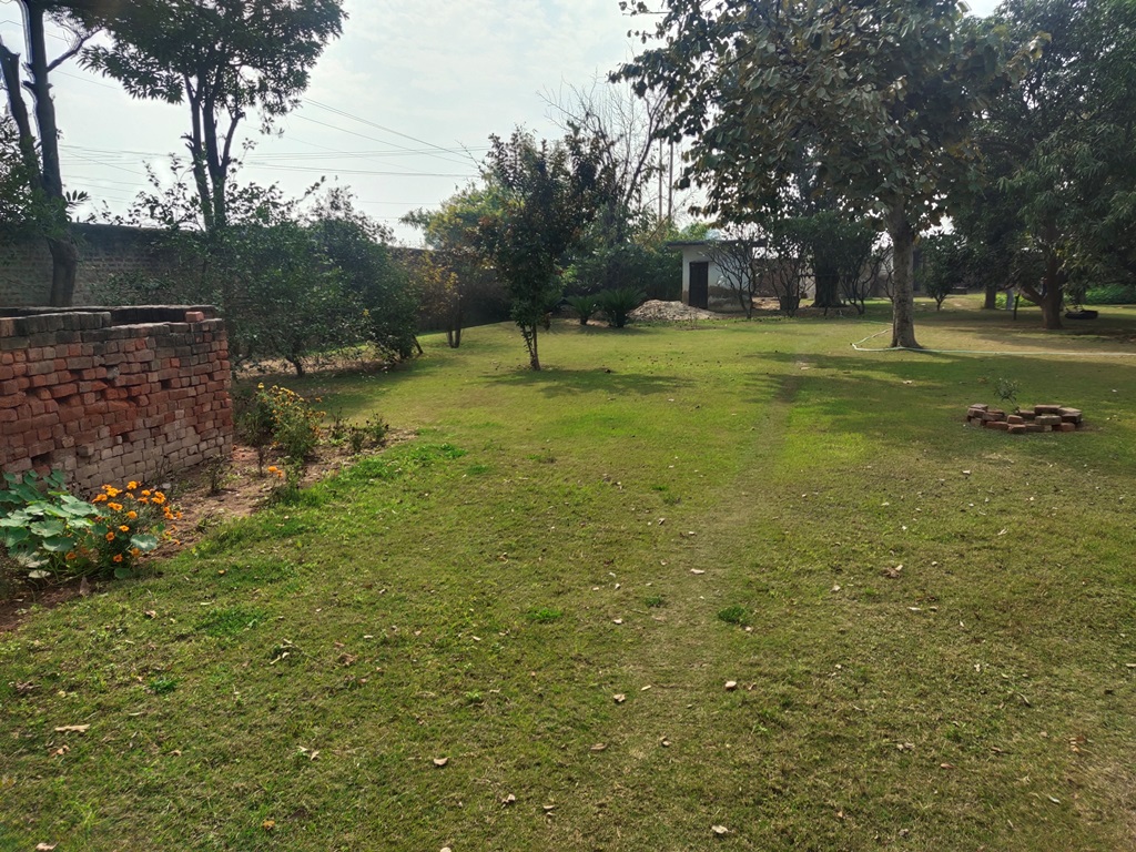 Agriculture Land For Sale At Pataudi Road Farmhouse For Sale In Pataudi Gurgaon