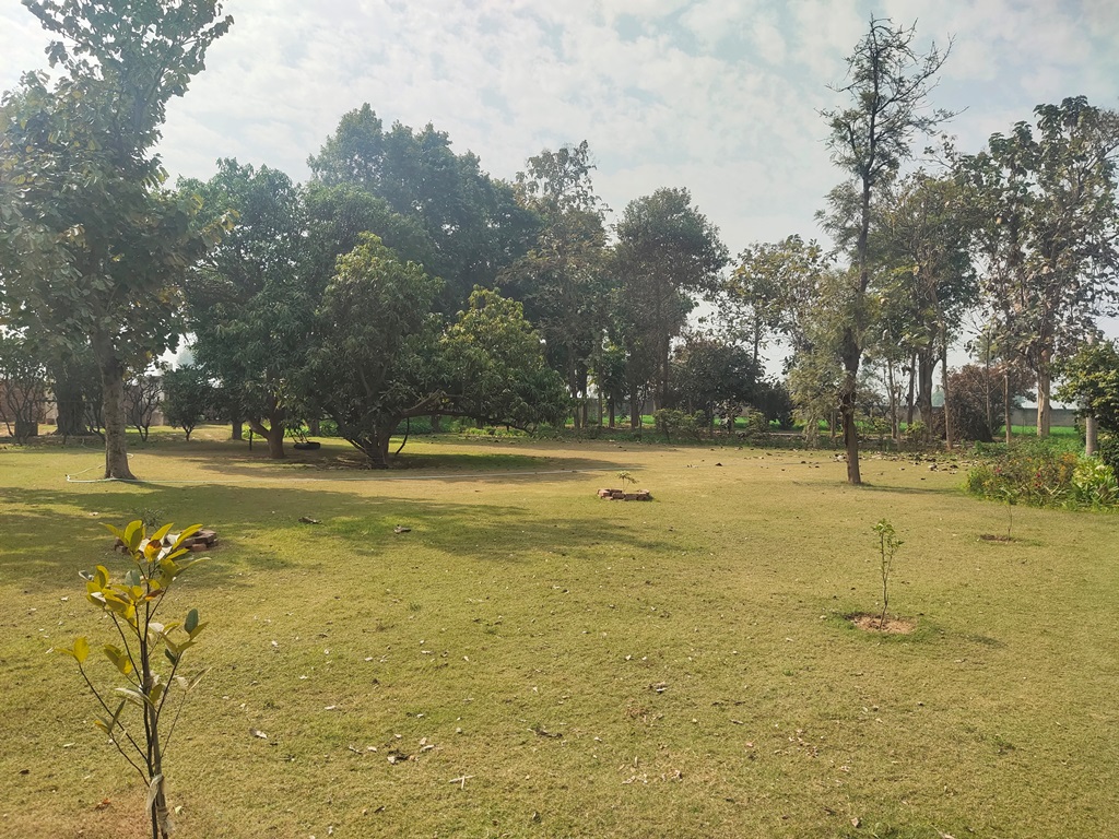 Agriculture Land For Sale At Pataudi Road Farmhouse For Sale In Pataudi Gurgaon