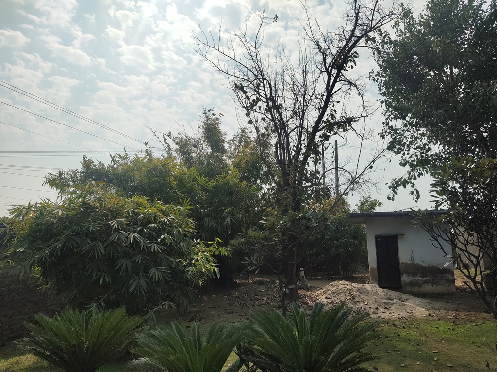 Agriculture Land For Sale At Pataudi Road Farmhouse For Sale In Pataudi Gurgaon