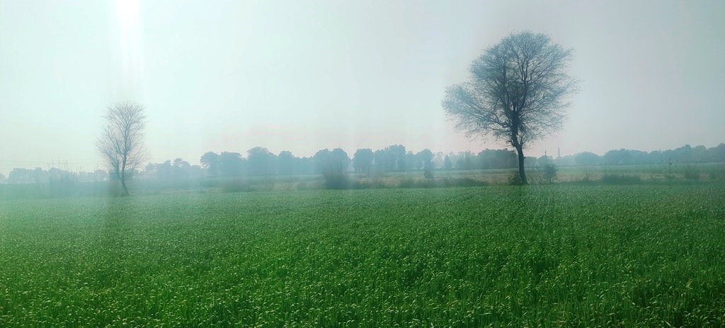 Agriculture Land For Sale Near Pataudi Gurgaon