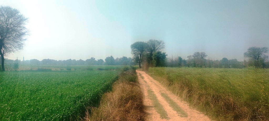 Agriculture Land For Sale Near Pataudi Gurgaon