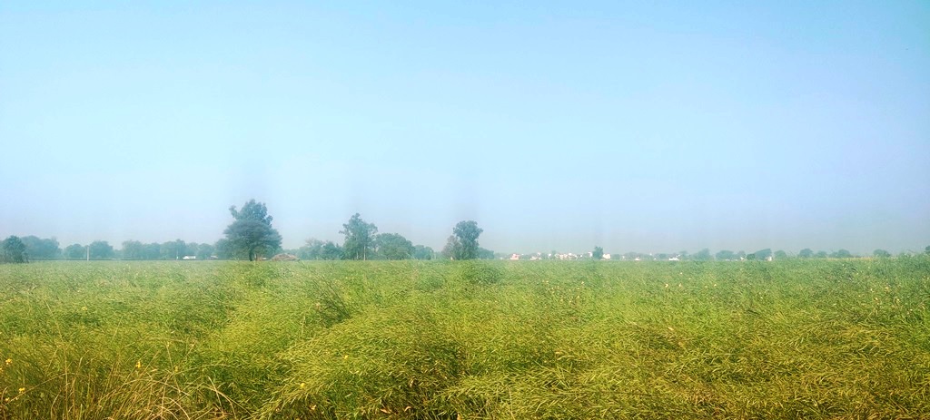 Agriculture Land For Sale Near Pataudi Gurgaon