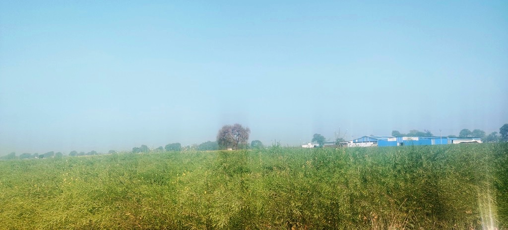 Agriculture Land For Sale Near Pataudi Gurgaon