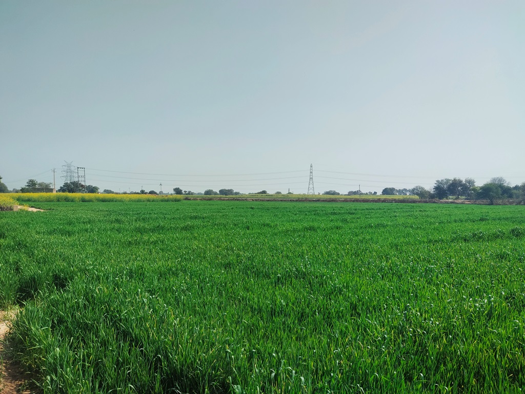 Agriculture Land For Sale With Frontage On Tar Road 5Acres Near Bawal Rewari
