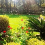 Agriculture Farm Land And Farm House In Gurgaon For Sale at Competitive Price