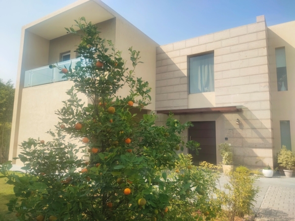 Farmhouse Land With CLU and OC in Gurgaon Haryana