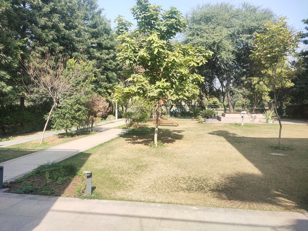 Farmhouse Land With CLU and OC in Gurgaon Haryana