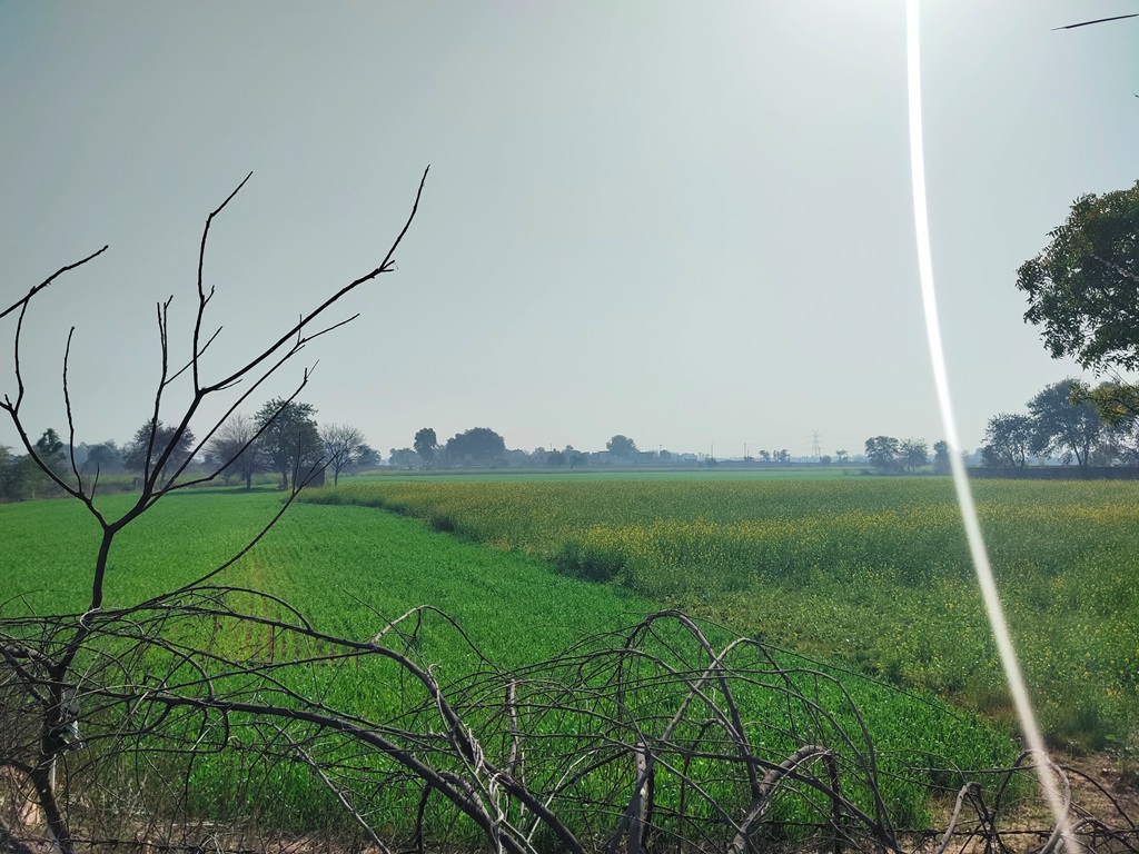 Land For Sale On Delhi Jaipur Highway Frontage At Bawal Rewari Haryana