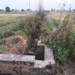 Agriculture Farm Land 8Acres Canal Touch For Sale