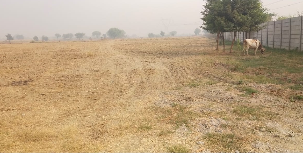 Agriculture Farm Land for sale on Sohna Palwal Road