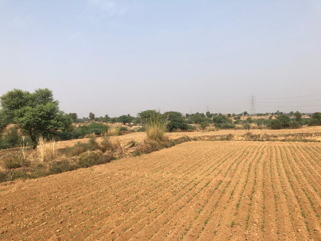 Farm Land For Farmhouse for sale near Neemrana Rajasthan