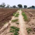 Agriculture Farm Land For Sale Near Kosli Rewari Haryana