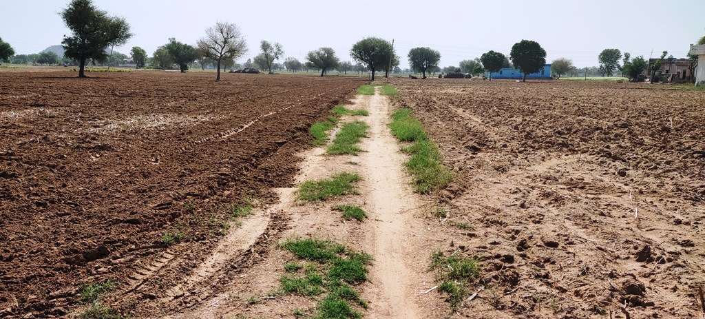 Agriculture Farm Land For Sale Near Kosli Rewari Haryana