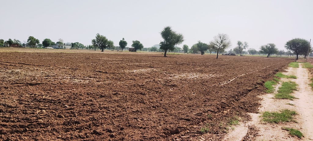 Agriculture Farm Land For Sale Near Kosli Rewari Haryana