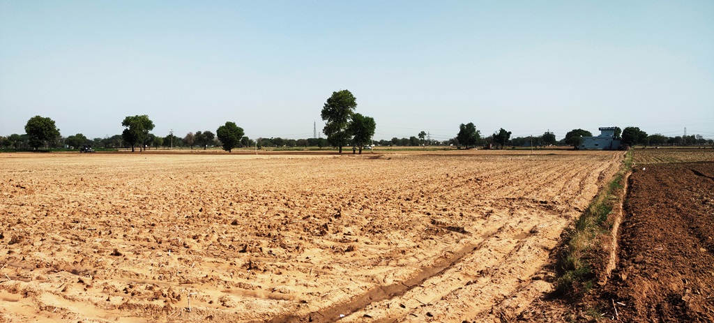 Agriculture Farm Land For Sale Near Kosli Rewari Haryana