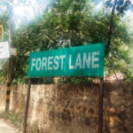 Farmhouse For Sale At Forest Lane Ghitorni Mehrauli Gurgaon Road New Delhi