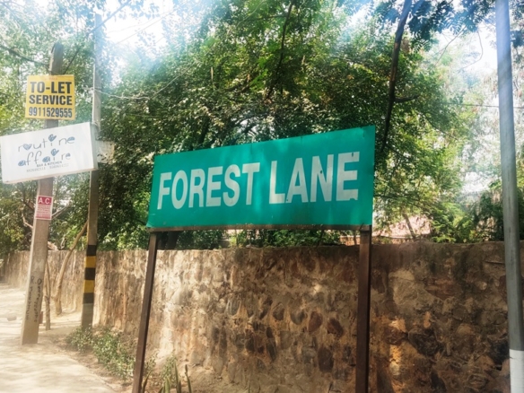 Farmhouse For Sale At Forest Lane Ghitorni Mehrauli Gurgaon Road New Delhi